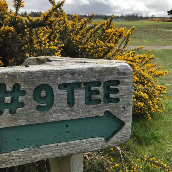 Meet your Posher, Chris - Picture 1 of 1